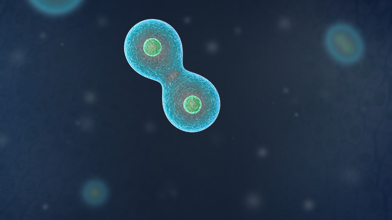 Animating Cellular Behavior in CINEMA 4D from Pluralsight | Course by Edvicer