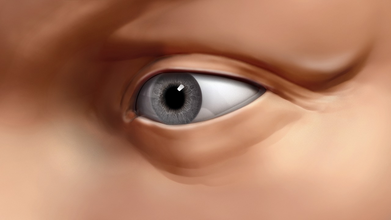 Sculpting Human Eyes in ZBrush from Pluralsight | Course by Edvicer
