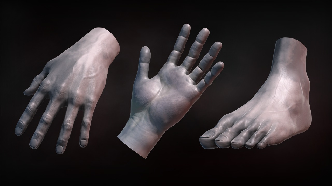Sculpting Human Hands and Feet in ZBrush from Pluralsight | Course by Edvicer