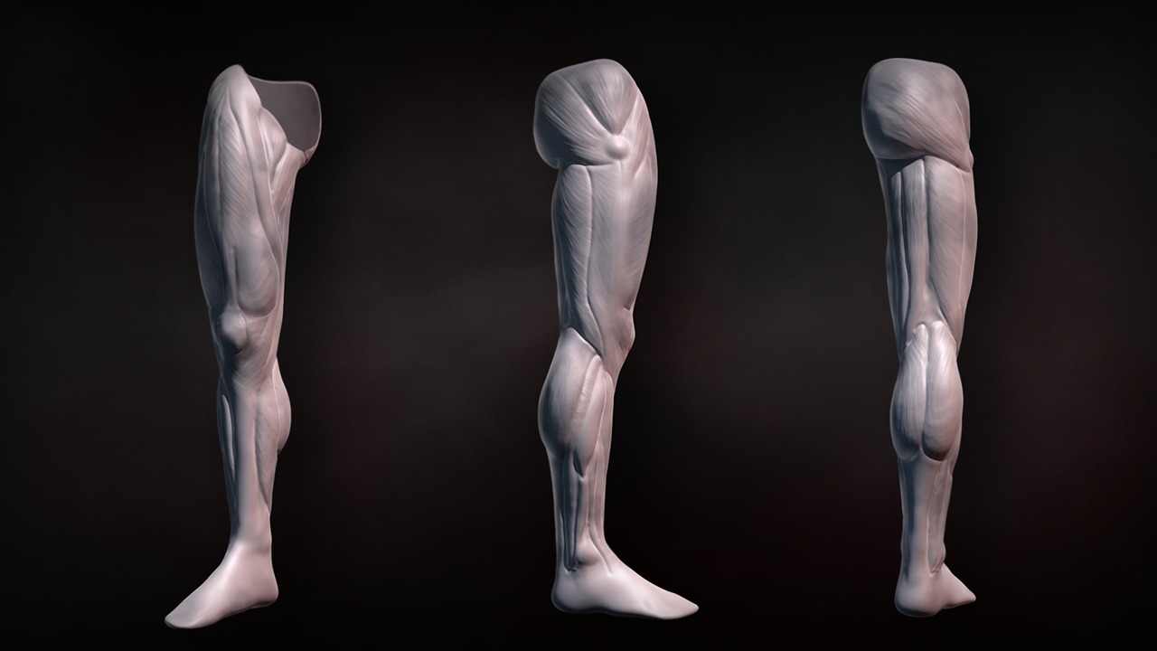 stylized sculpting from real life references in zbrush