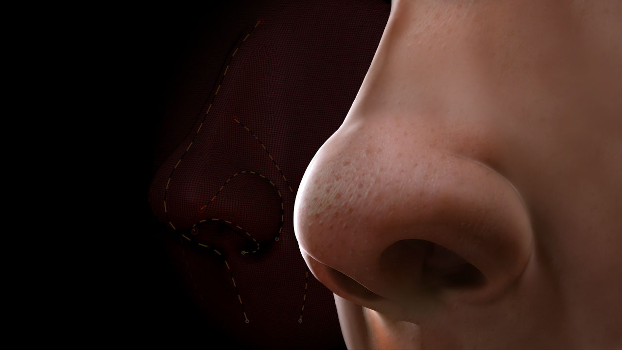 Sculpting Human Noses in ZBrush from Pluralsight | Course by Edvicer